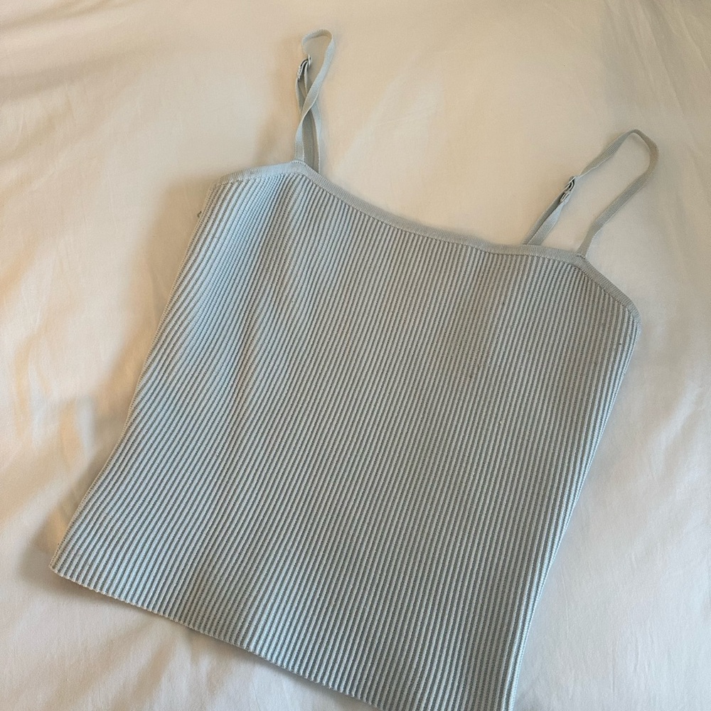 Aritzia Blue Ribbed Fitted Camisole